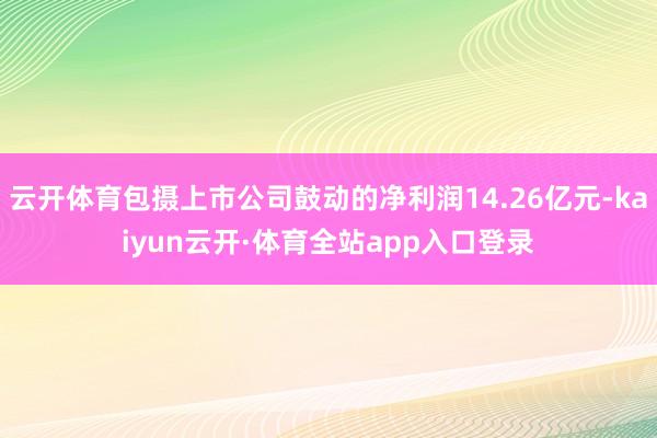 云开体育包摄上市公司鼓动的净利润14.26亿元-kaiyun云开·体育全站app入口登录