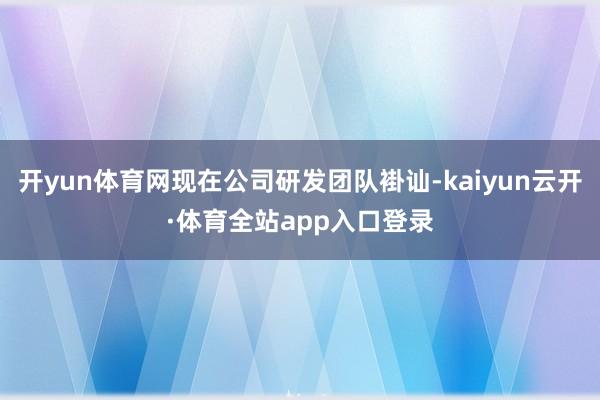 开yun体育网现在公司研发团队褂讪-kaiyun云开·体育全站app入口登录